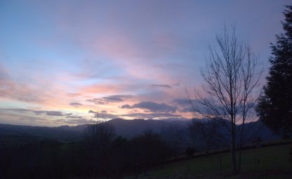 L'élagueur, le container, et la comtesse de Courtefesse