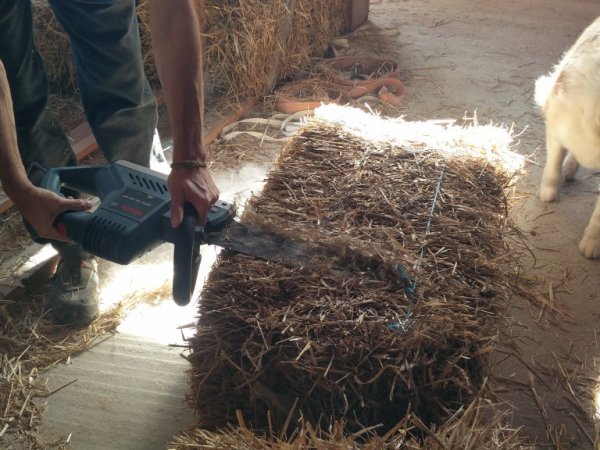 ...et à la scie croco