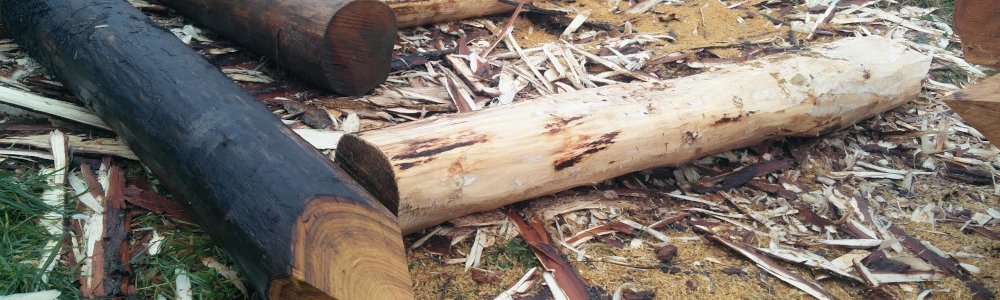 Quelles fondations pour Miramon ?