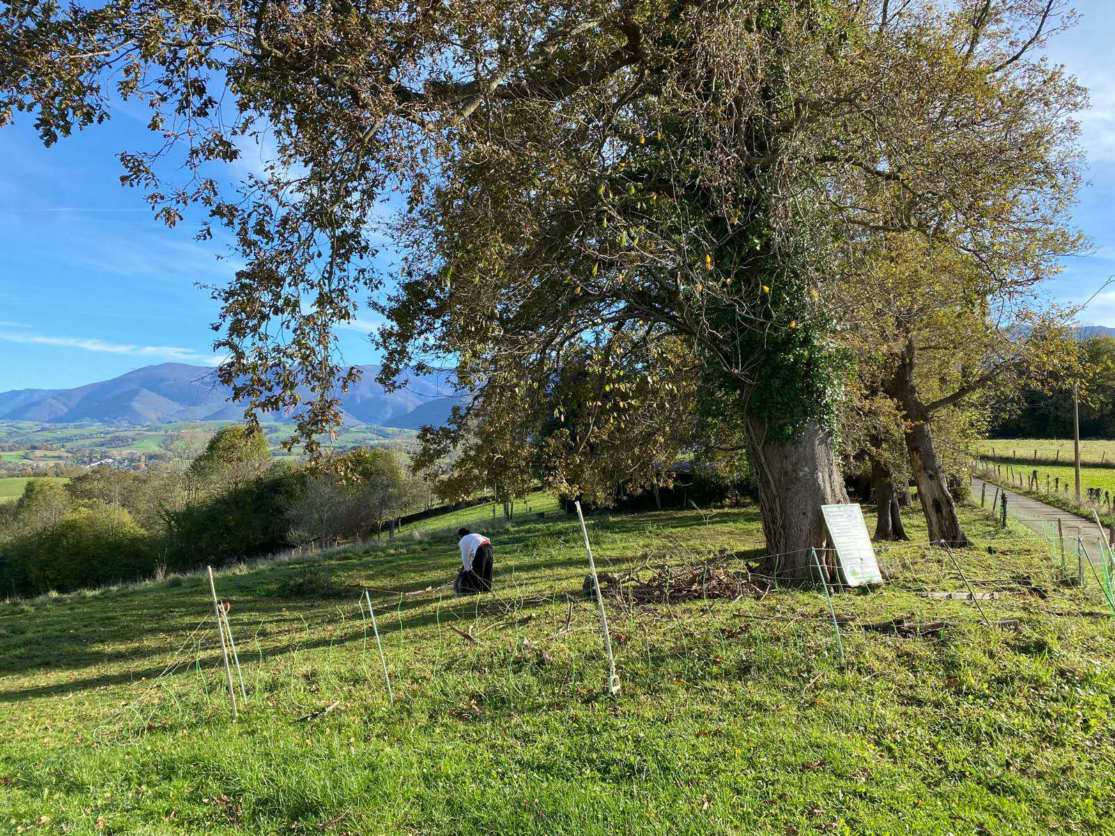 miramon-photo miramon-photo